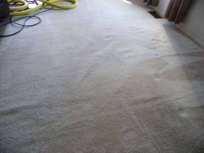 Same carpet after deep steam cleaning by M-M Cleaning - pet stains removed in Bloomington-Normal IL